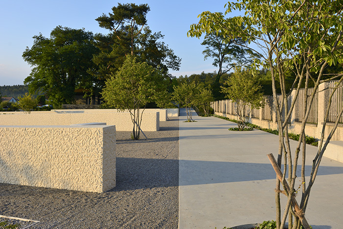 Concrete path with snowy mespils (Amelanchier lamrckii) and roughcast limestone-concrete walls 