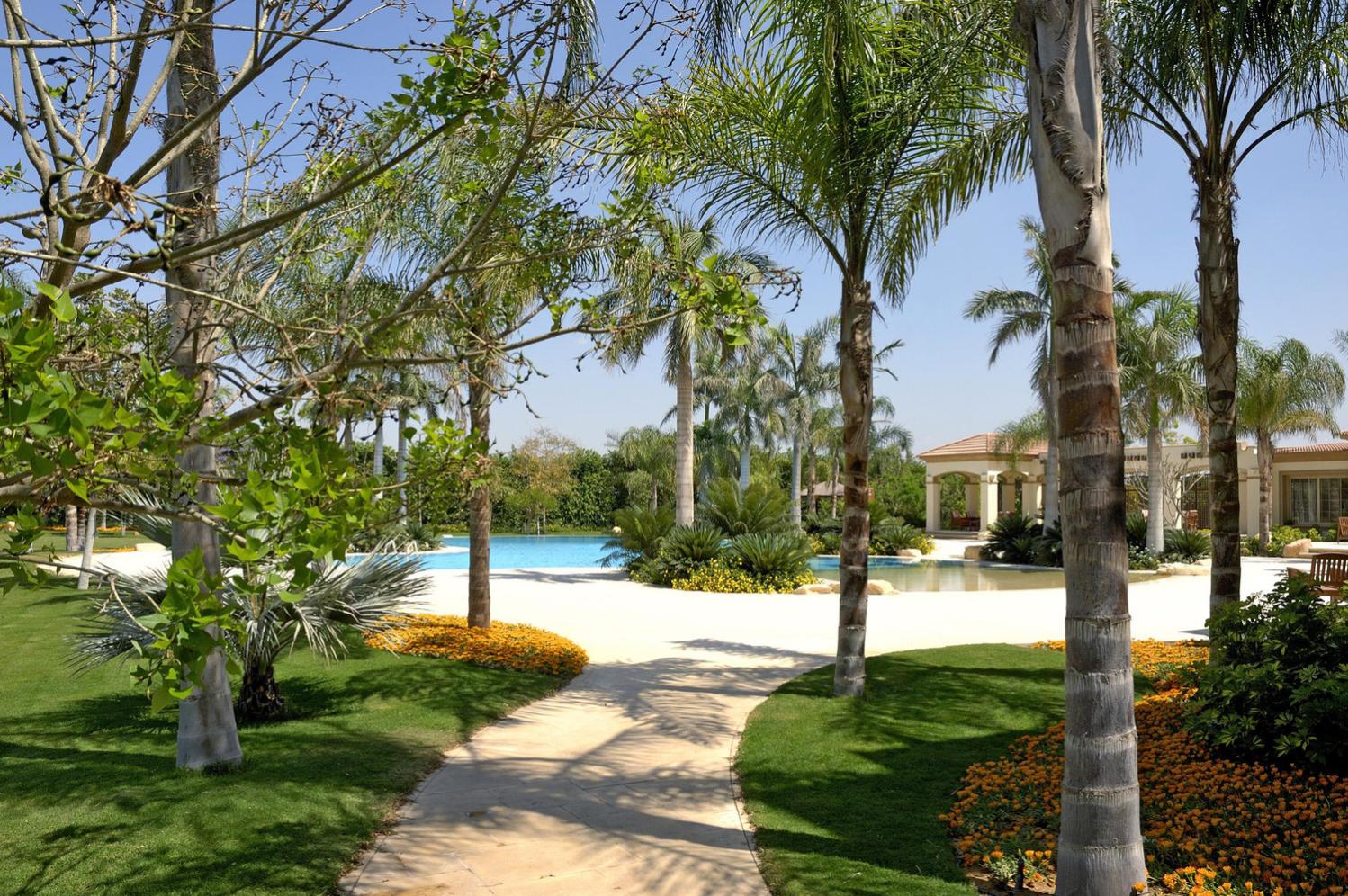 Walkway leading to the pool area framed with shade trees and palms