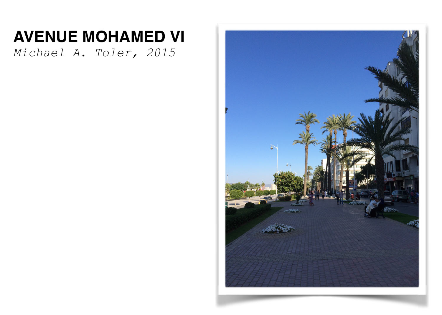 Avenue Mohammed VI - Label for Avenue Espana