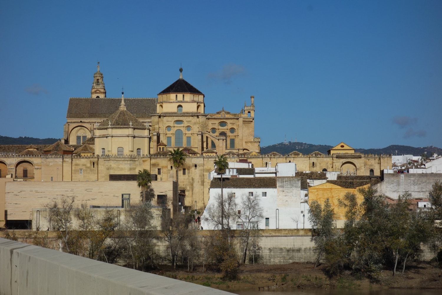Mezquita de Córdoba - Southeast face of mosque, distant view