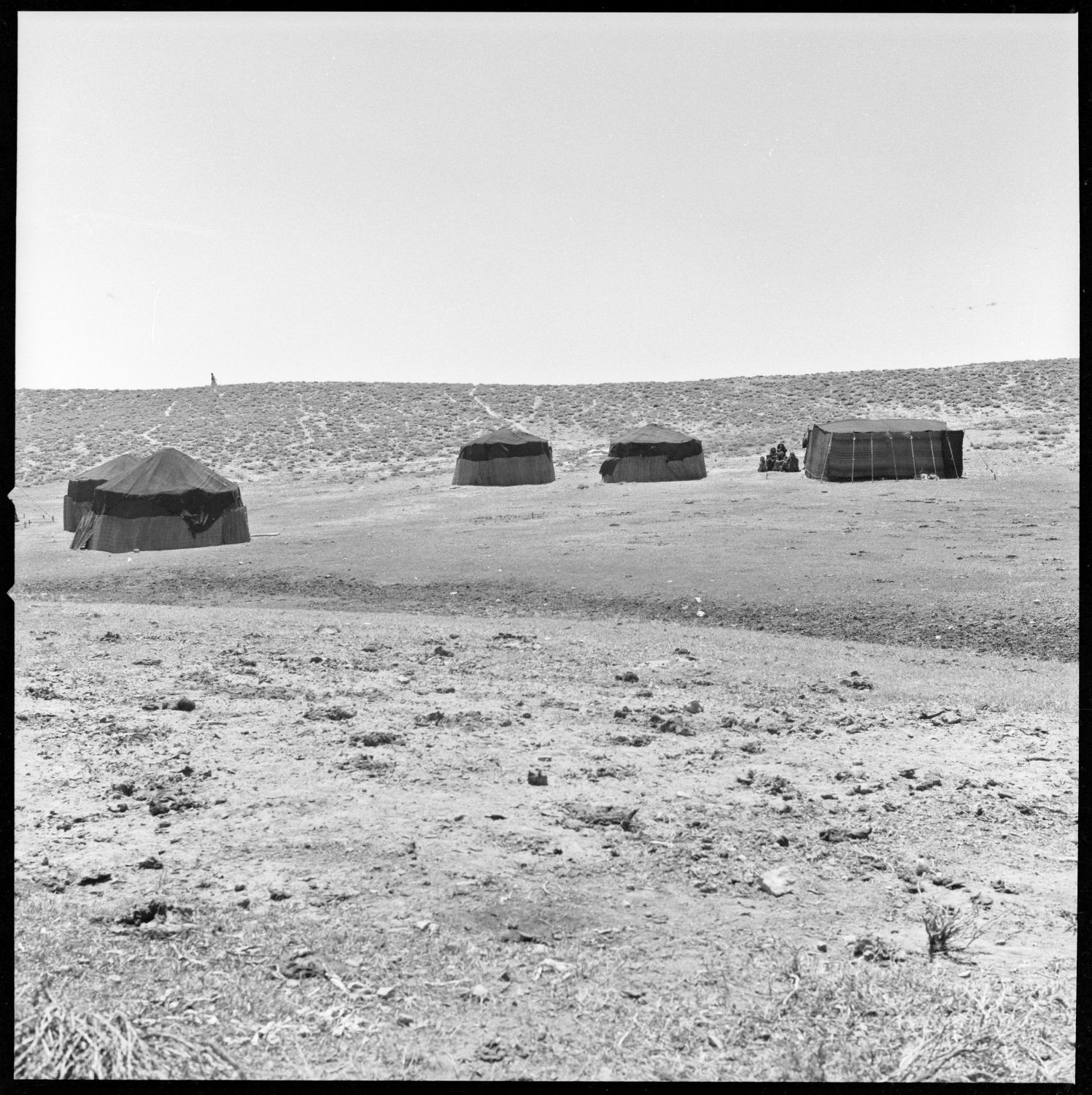 Yurt camp site in open terrain in the vicinity of Jam, Afghanistan.