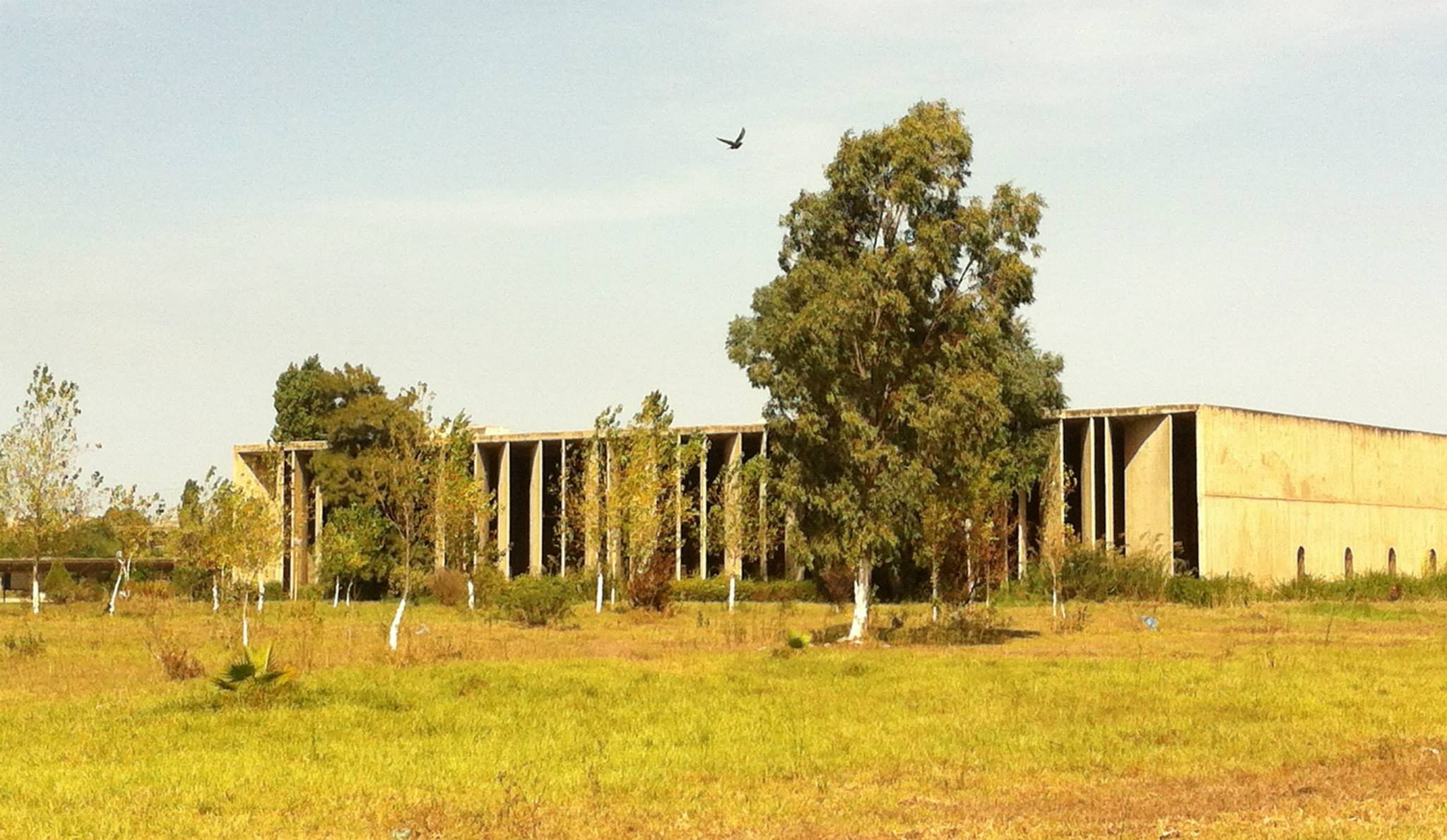 Exterior view of flat topped building from across a grassy area
