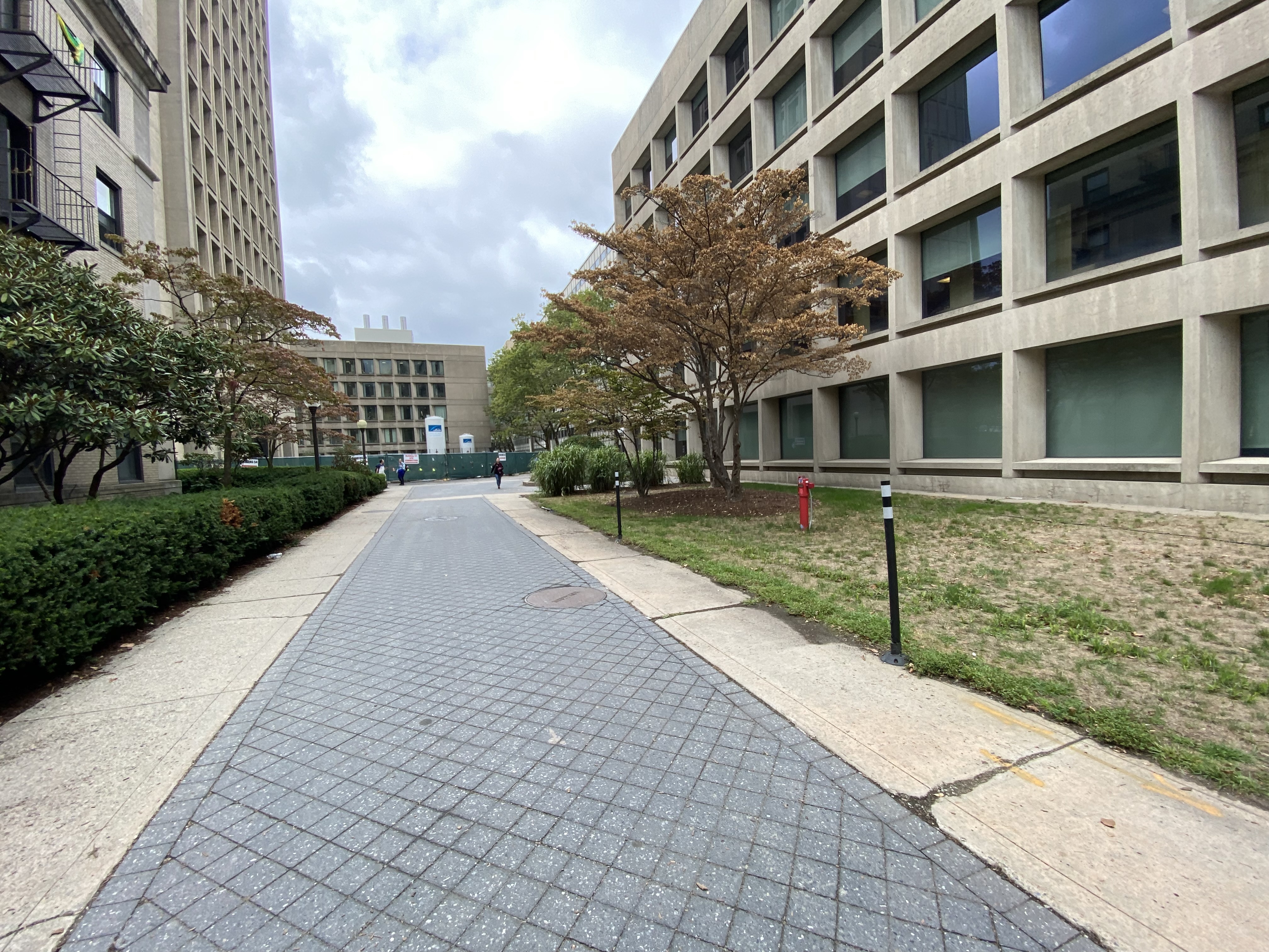 <p>View of the facade of Building 16 from the path toward the Dreyfus Chemistry Building</p>