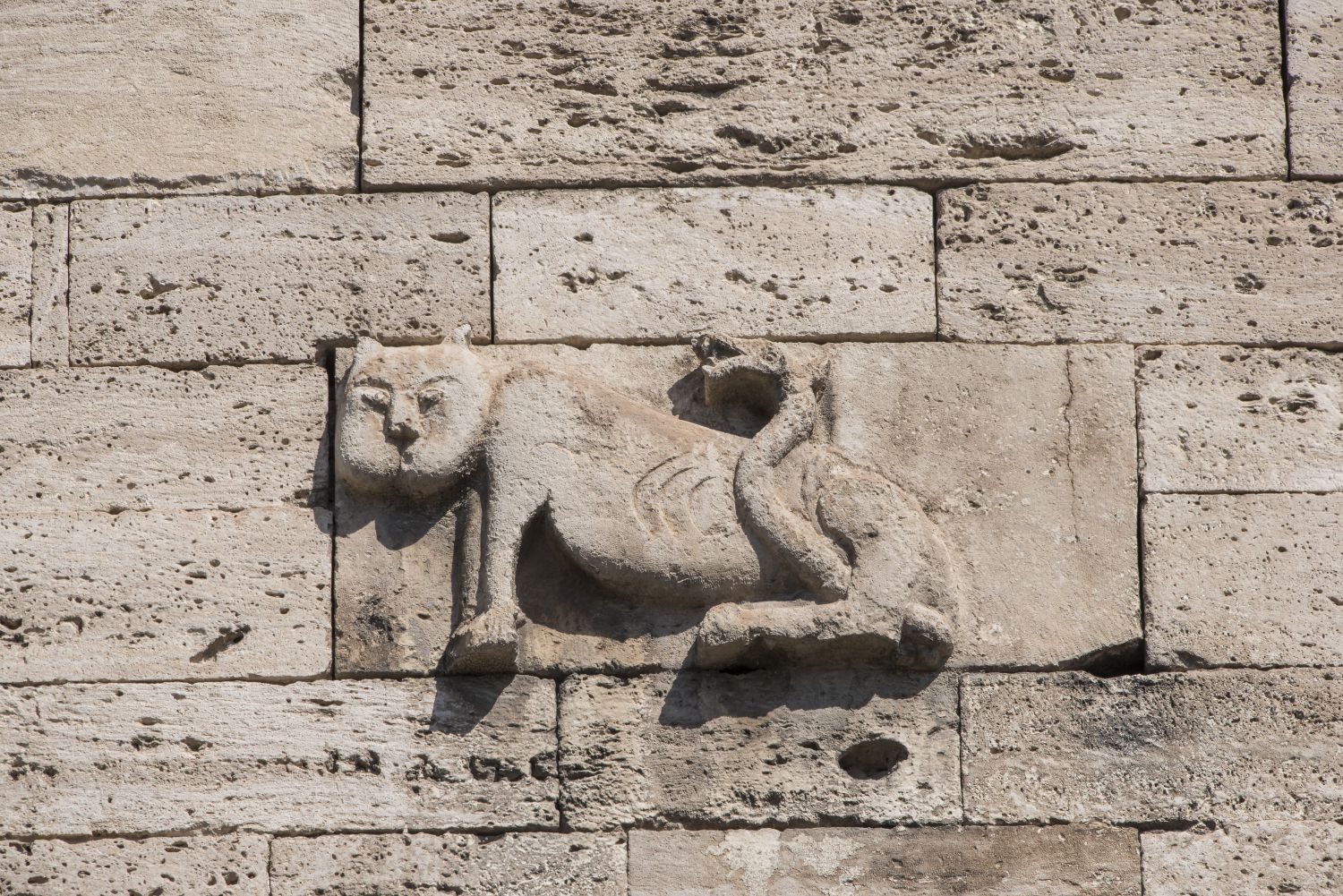 View of lion bas relief on exterior of building.