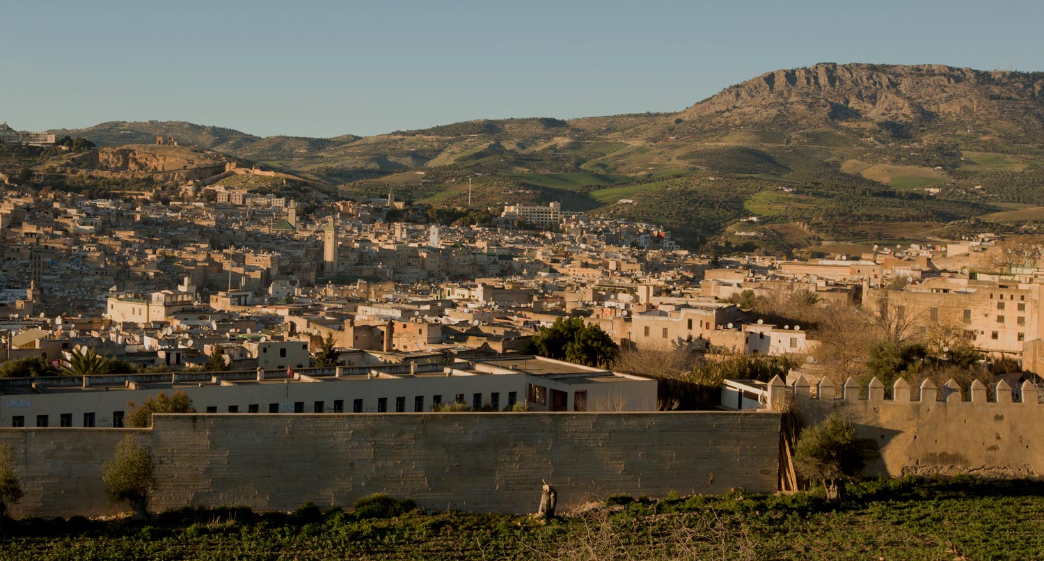 Jami' al-Qarawiyyin - City view toward the north 