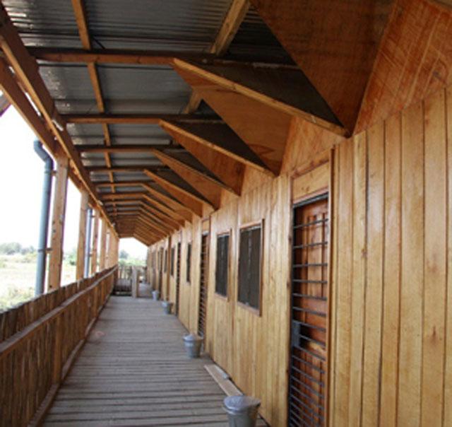 Kesho Leo Children's Home - Accommodation building walkway