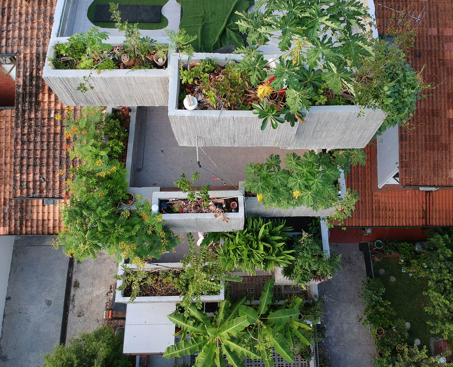 <p>The plantings are watered through a custom-made irrigation system, allowing the owners to conduct their experiments with urban farming and self-sufficient living.&nbsp;&nbsp;</p>