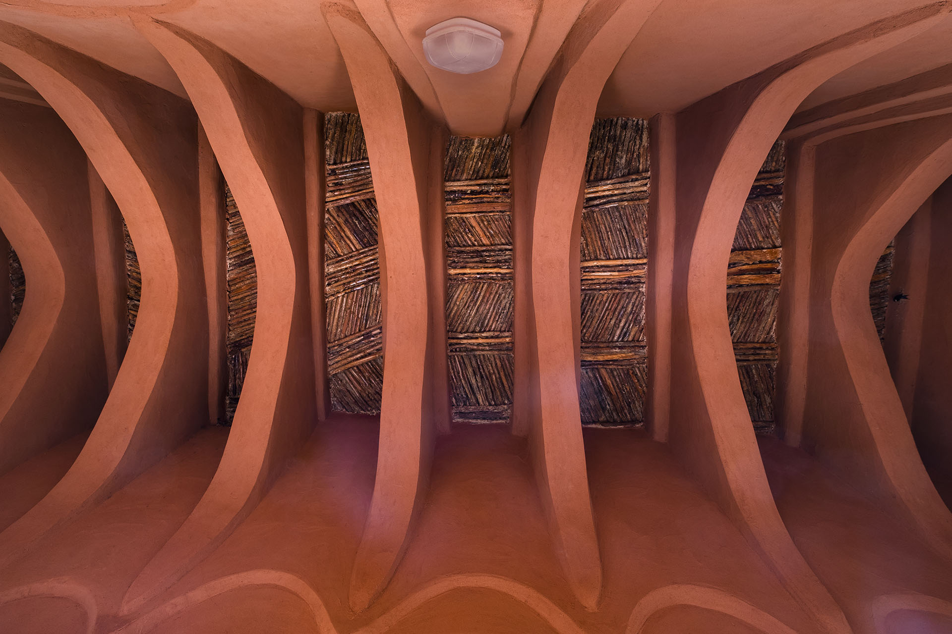 <p>Ceiling of the library after renovation</p>