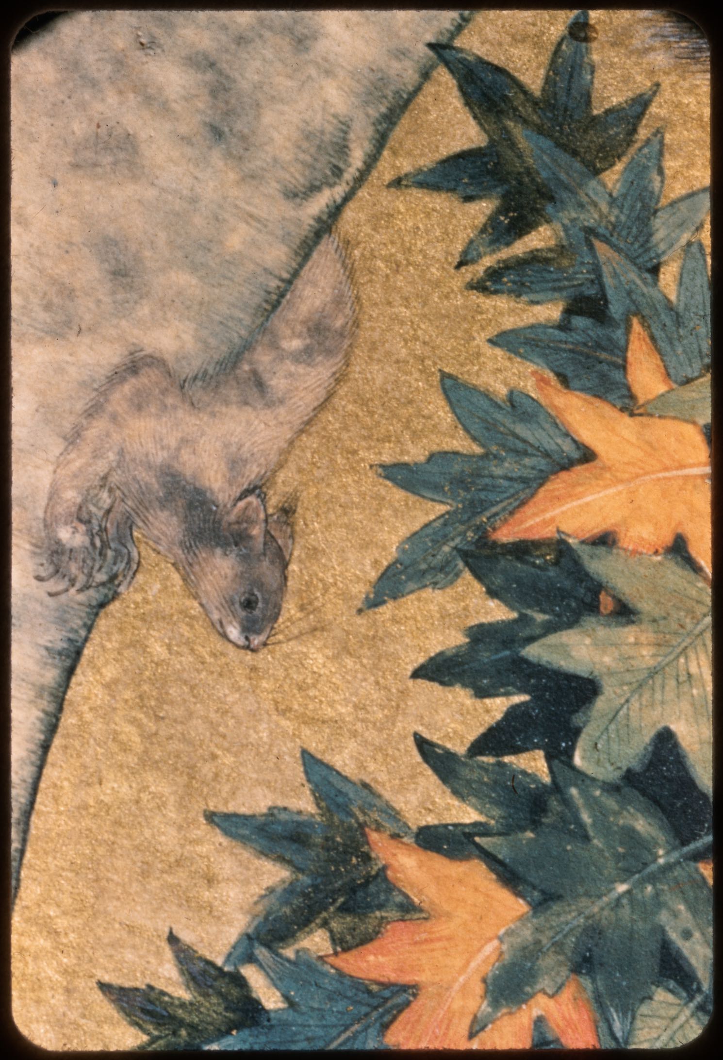 Detail of squirrel with leaves, Squirrels in a Plane Tree (British Library, Johnson Album 1/30)