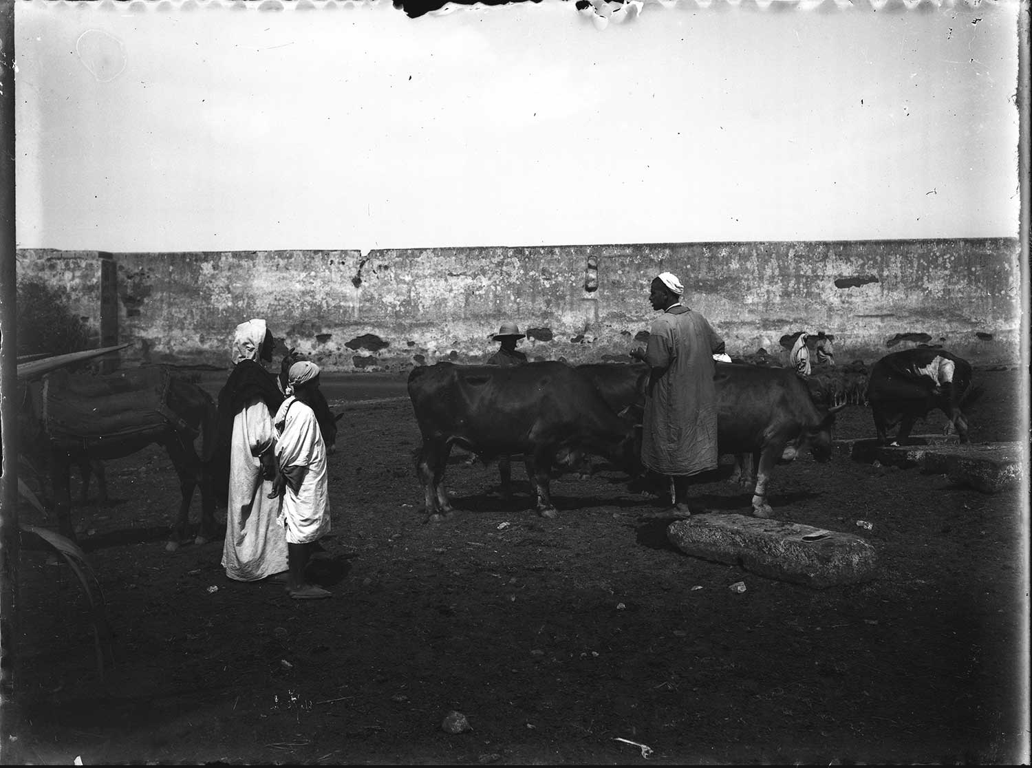 View of a cattle market outside the city walls, probably Marrakech