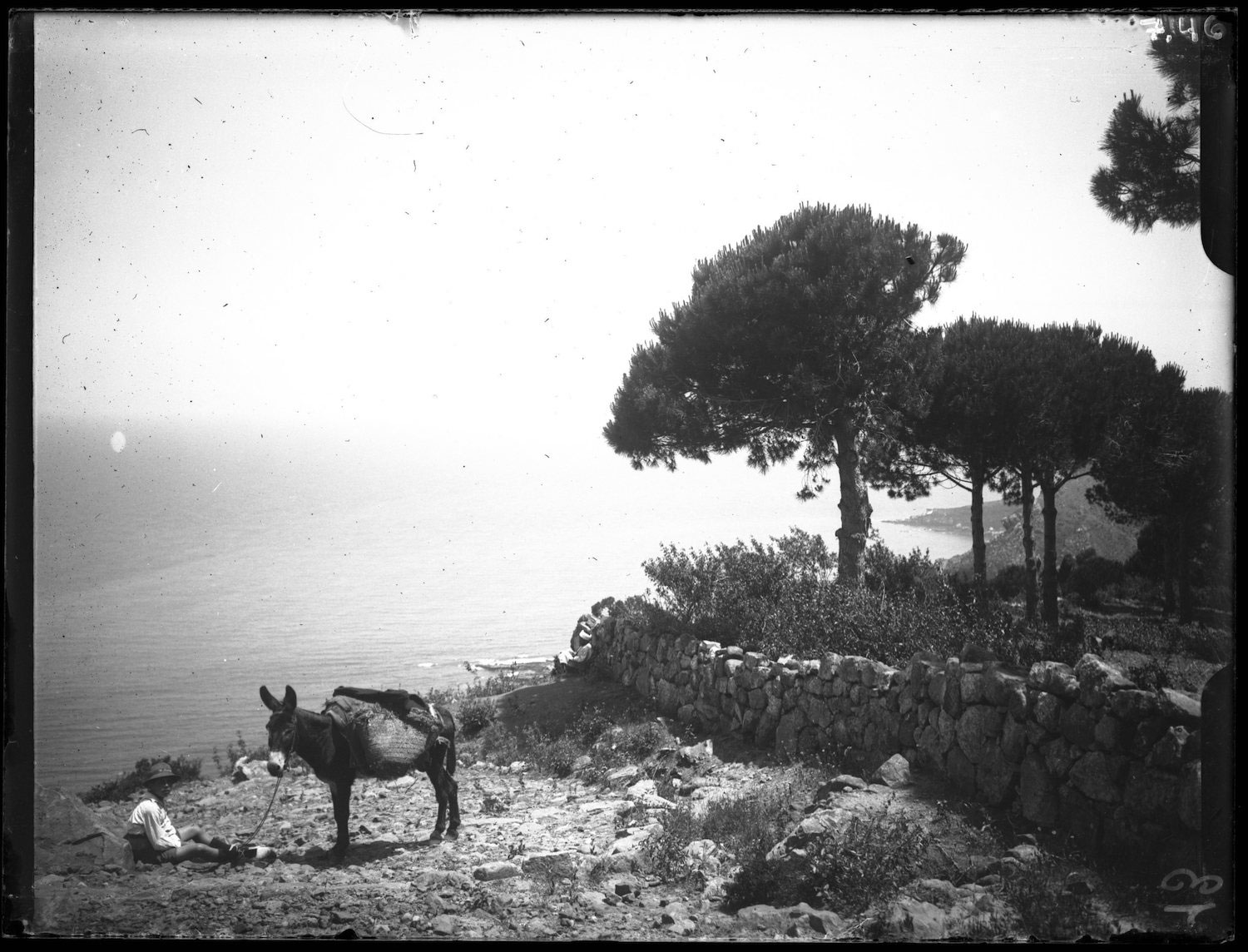 A man seated in front of his tethered donkey in the countryside by the sea. 