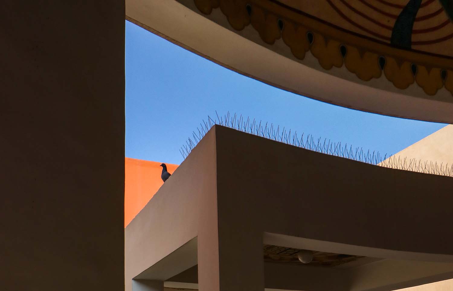 View of bird spikes on building