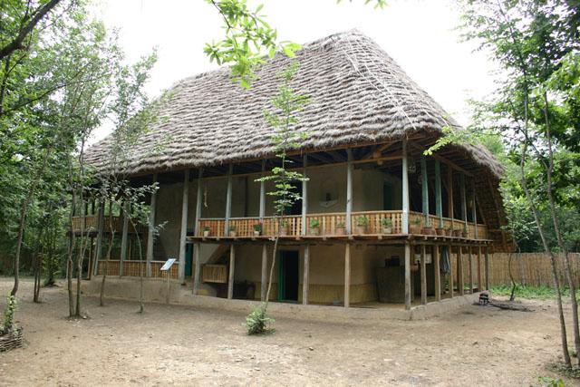 Amini house