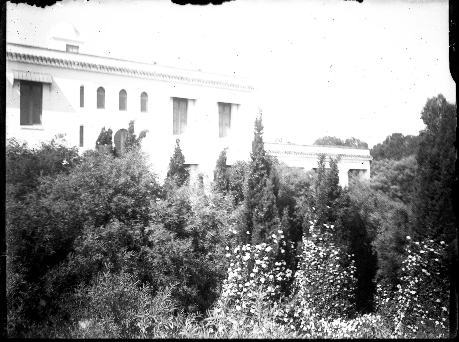 View of a building from the garden