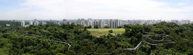 View of the Forest Walk hugging the Telok Blangah Hill and weaving between the secondary forest. The city is located on the opposite site of the hill park (to the north)