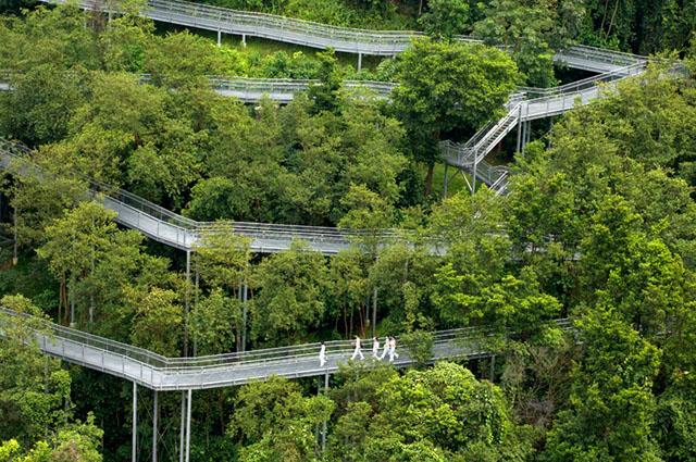 The Forest Walk is a series of steel structures that rises between 9 and 13 metres above the steep hills of the Telok Blangah Hill Park. To provide for handicap access, the structure is designed as a ramp to meander and zigzag along the hilly slopes and to avoid the existing vegetation