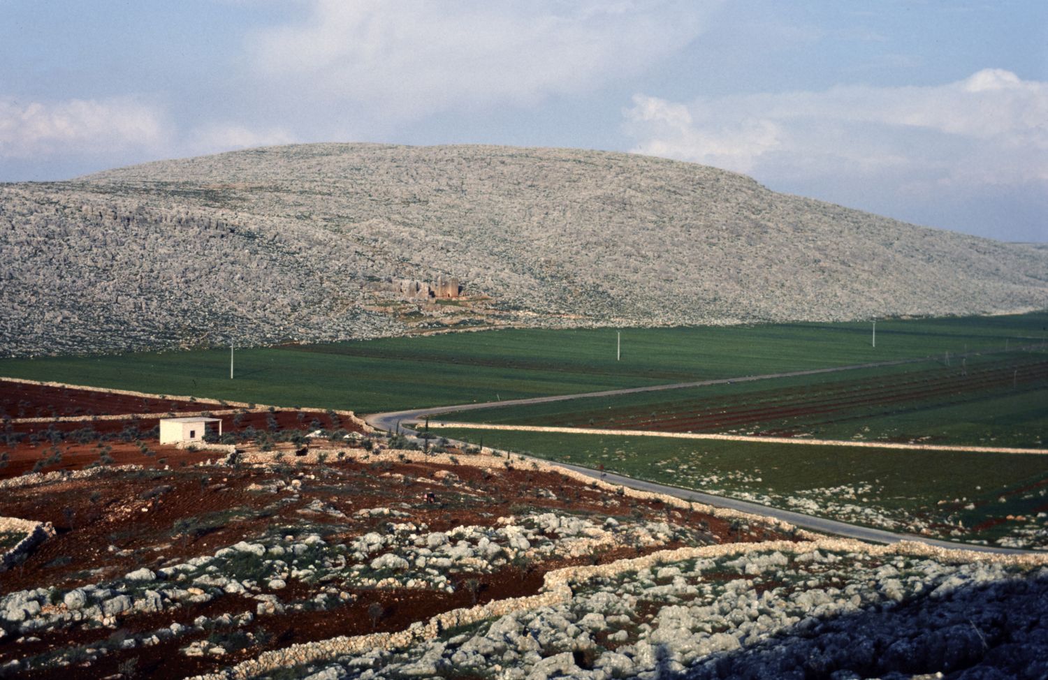 al-Burayj - General view of the site from the southwest, showing the edge of the plain of al-Dana and slopes of Jabal Barisha.