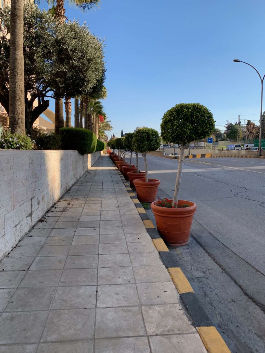 View of sidewalk and potted plants on&nbsp;Al Kuroum Avenue (شارع الكروم)&nbsp;