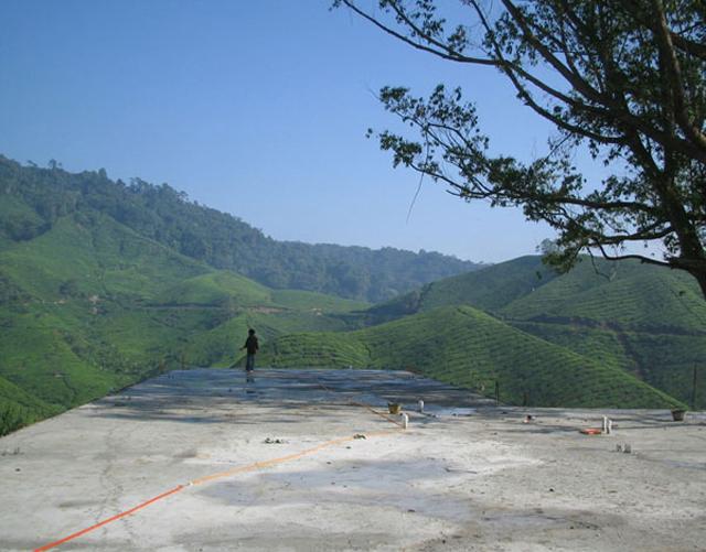 Site construction of cantilevered slab