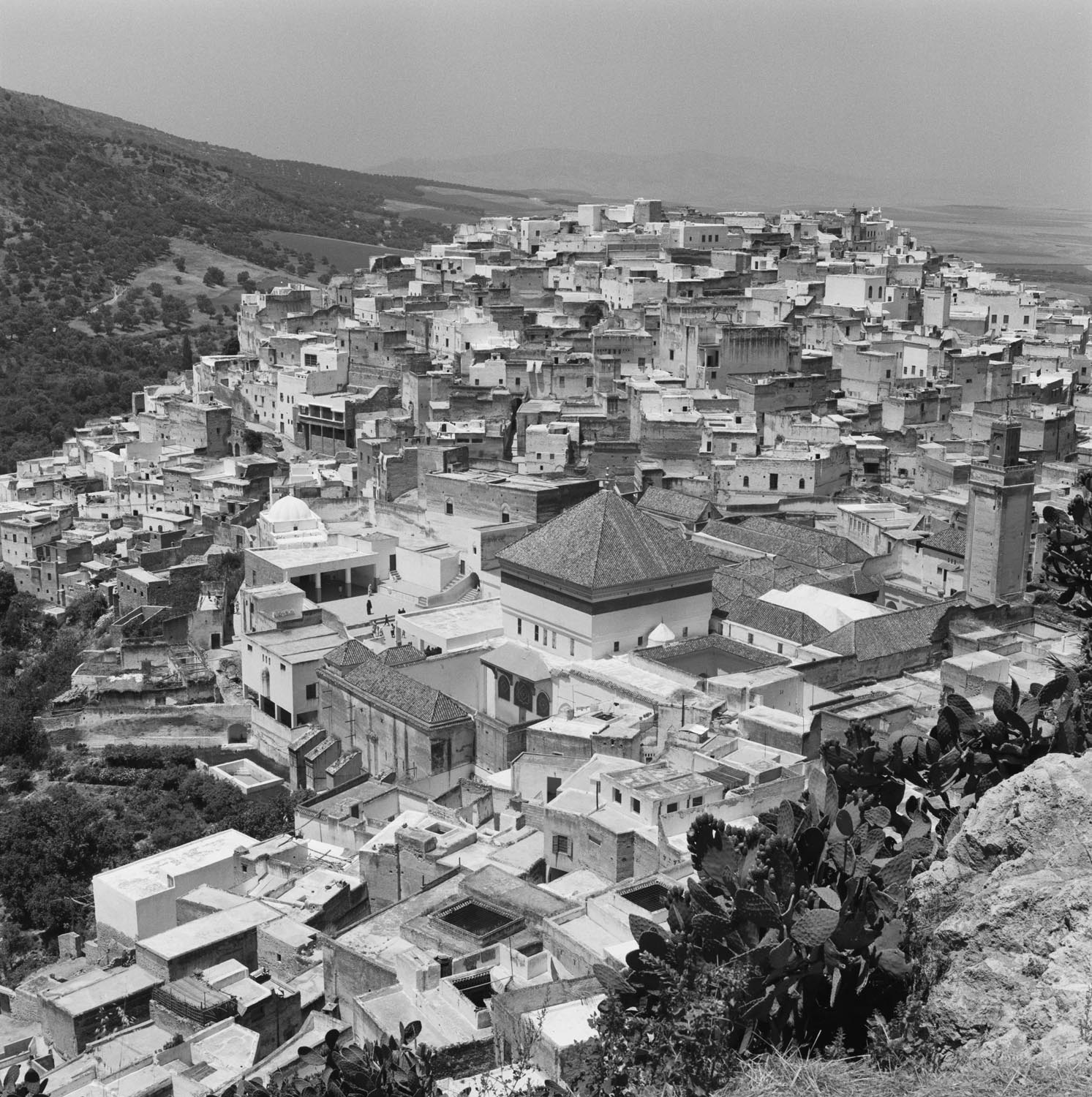 Bird's eye view of the Shrine of Moulay Idris