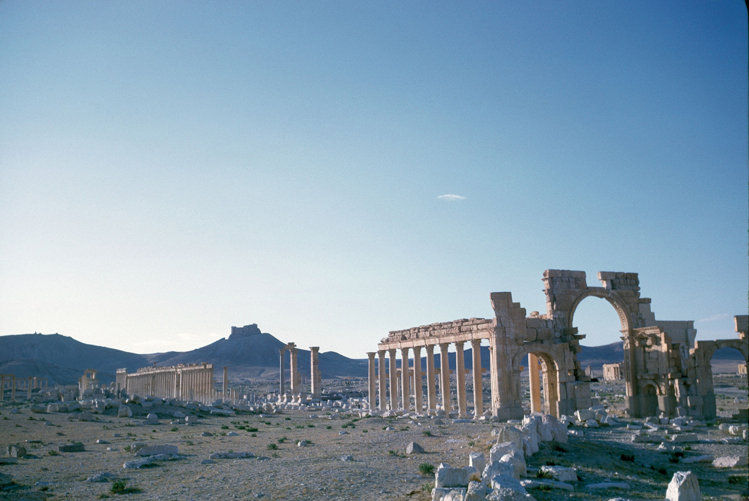 General view of the Great Colonnade. The triumphal arches were reported destroyed in October 2015