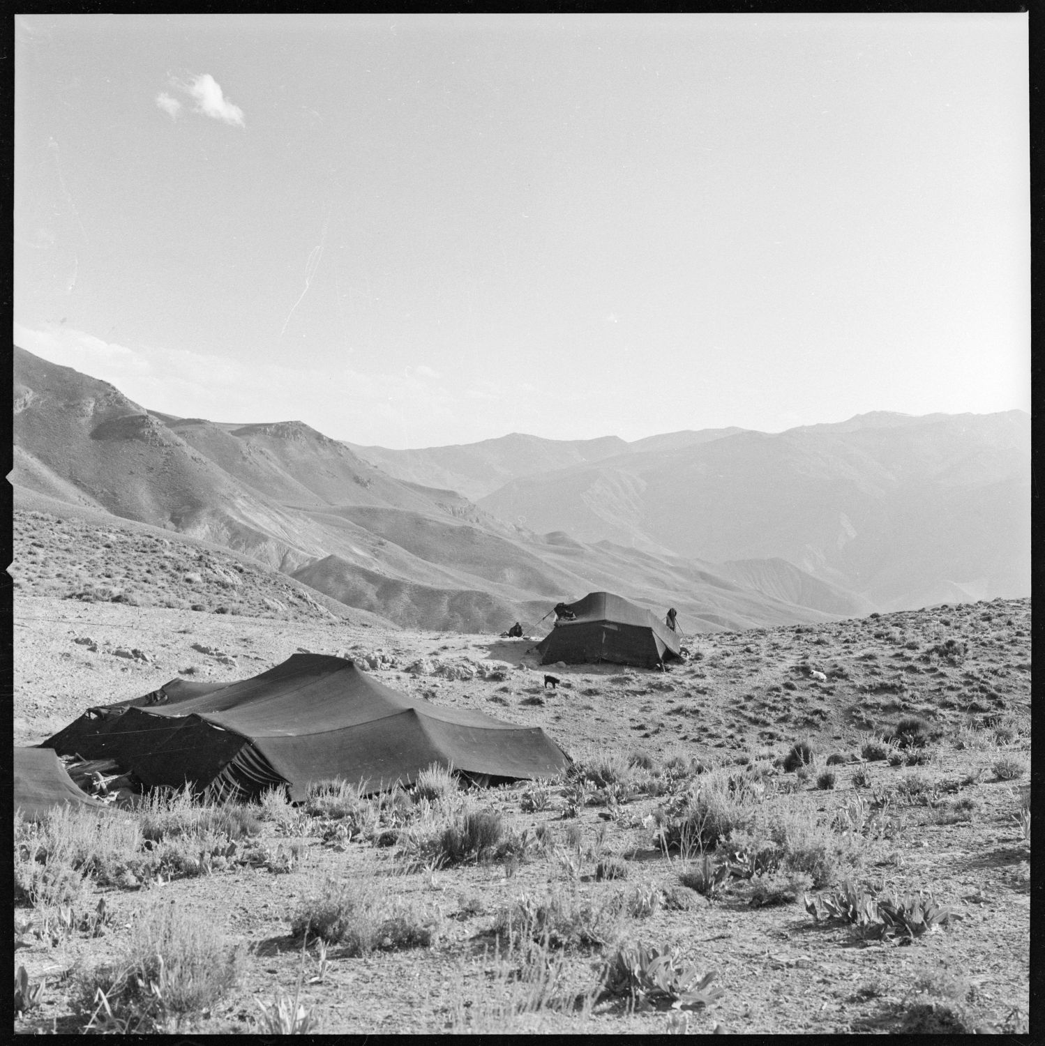Normad tents sit on ridge overlooking deep gorge in the vicinity of Jam, Afghanistan.
