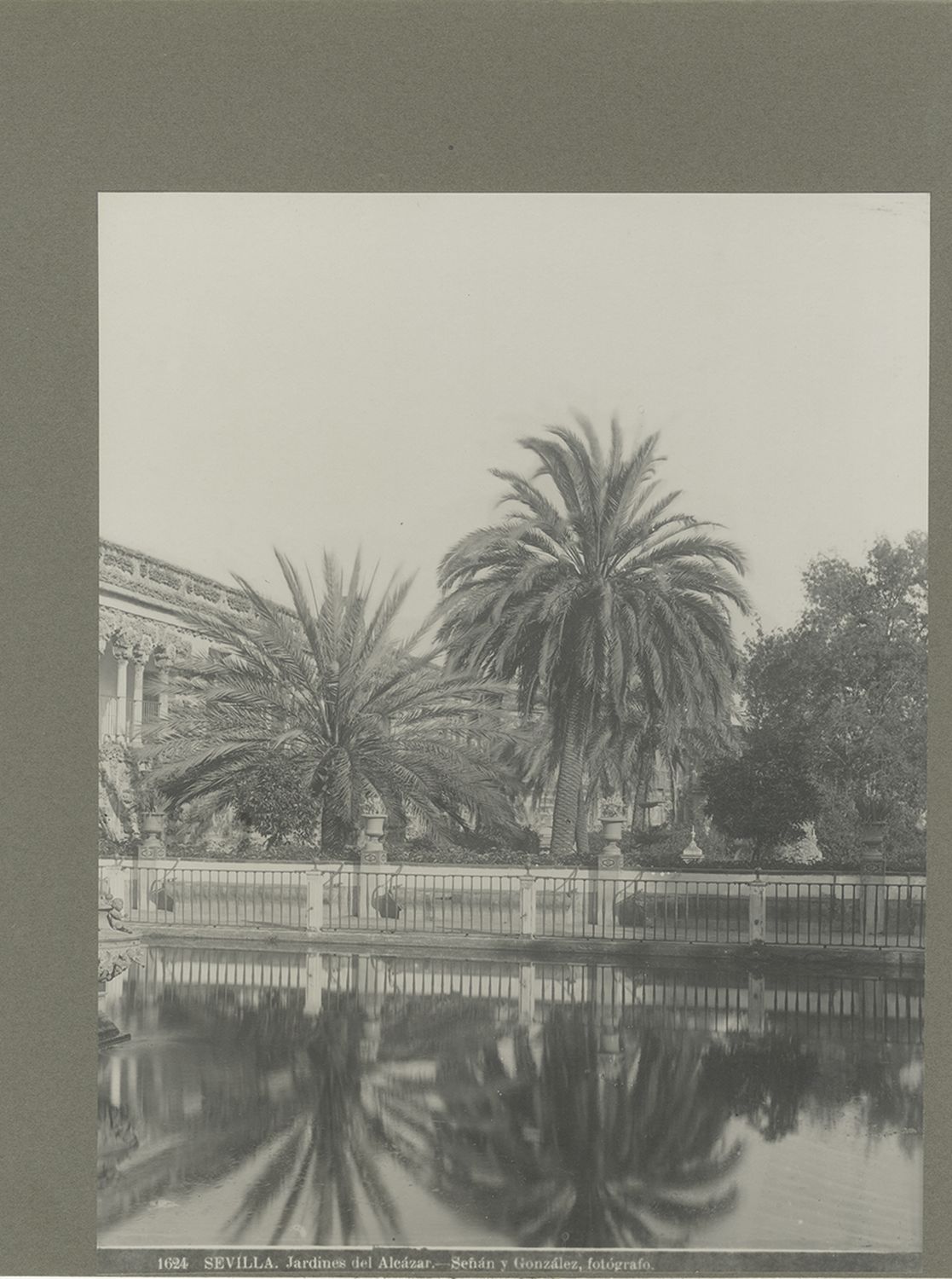 View of pool in gardens.