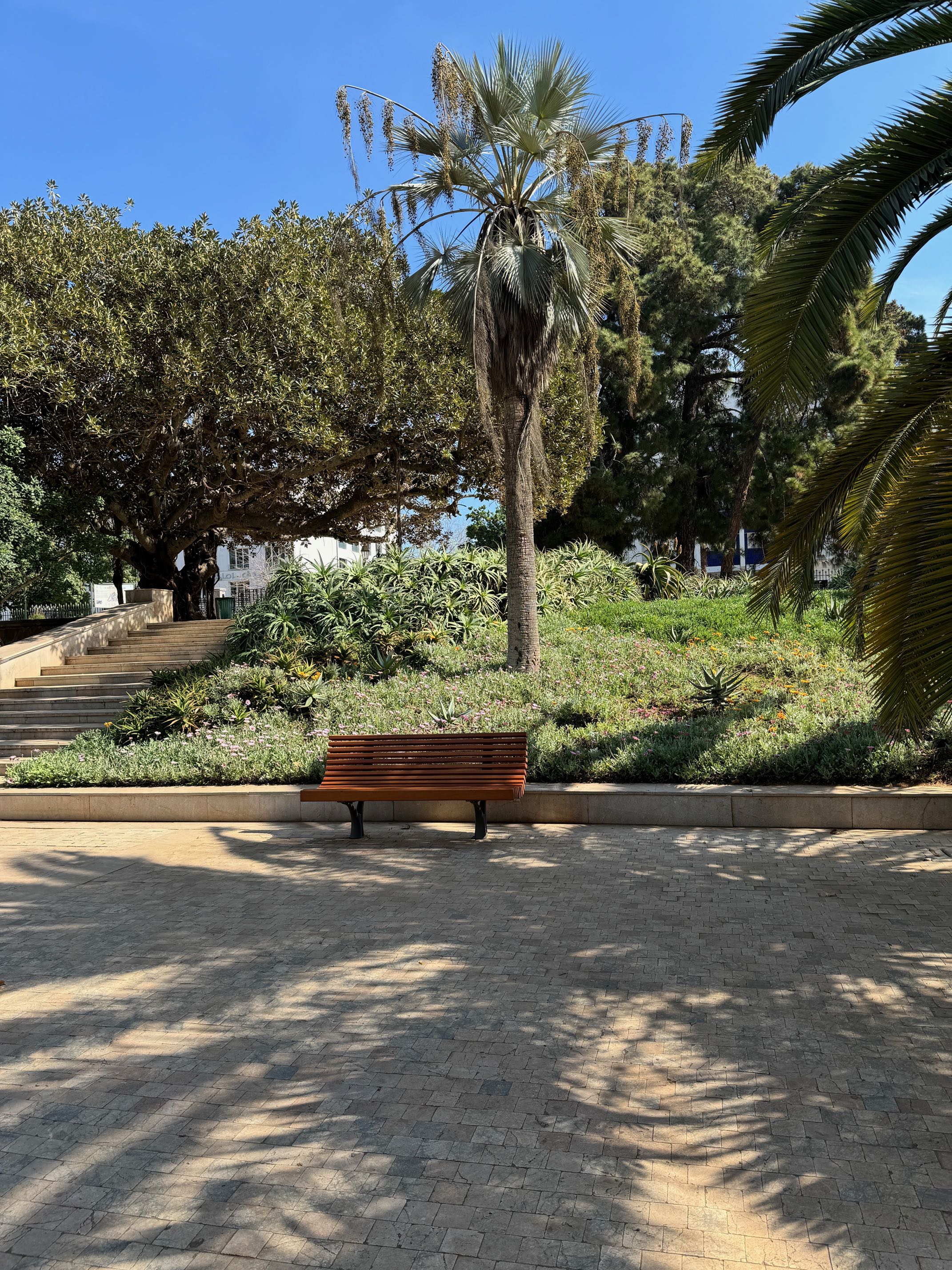 <p>View of a garden bench and palm tree on the brickwork path</p>