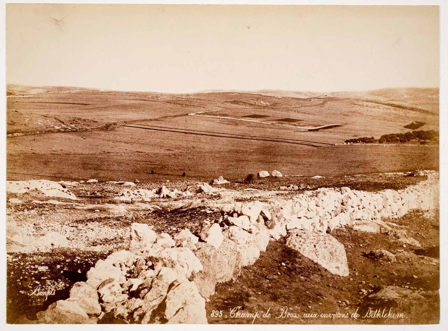 landscape view of the Fields of Boaz