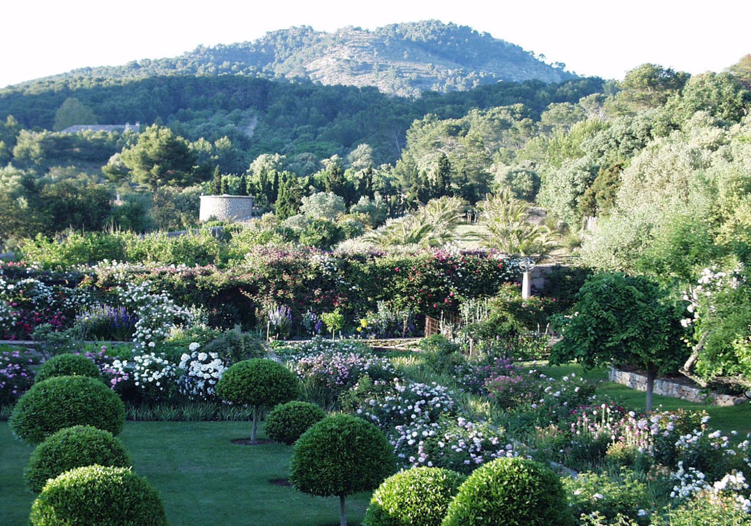 Sa Bassa Blanca - The rose garden and hill located on the north side of Sa Bassa Blanca