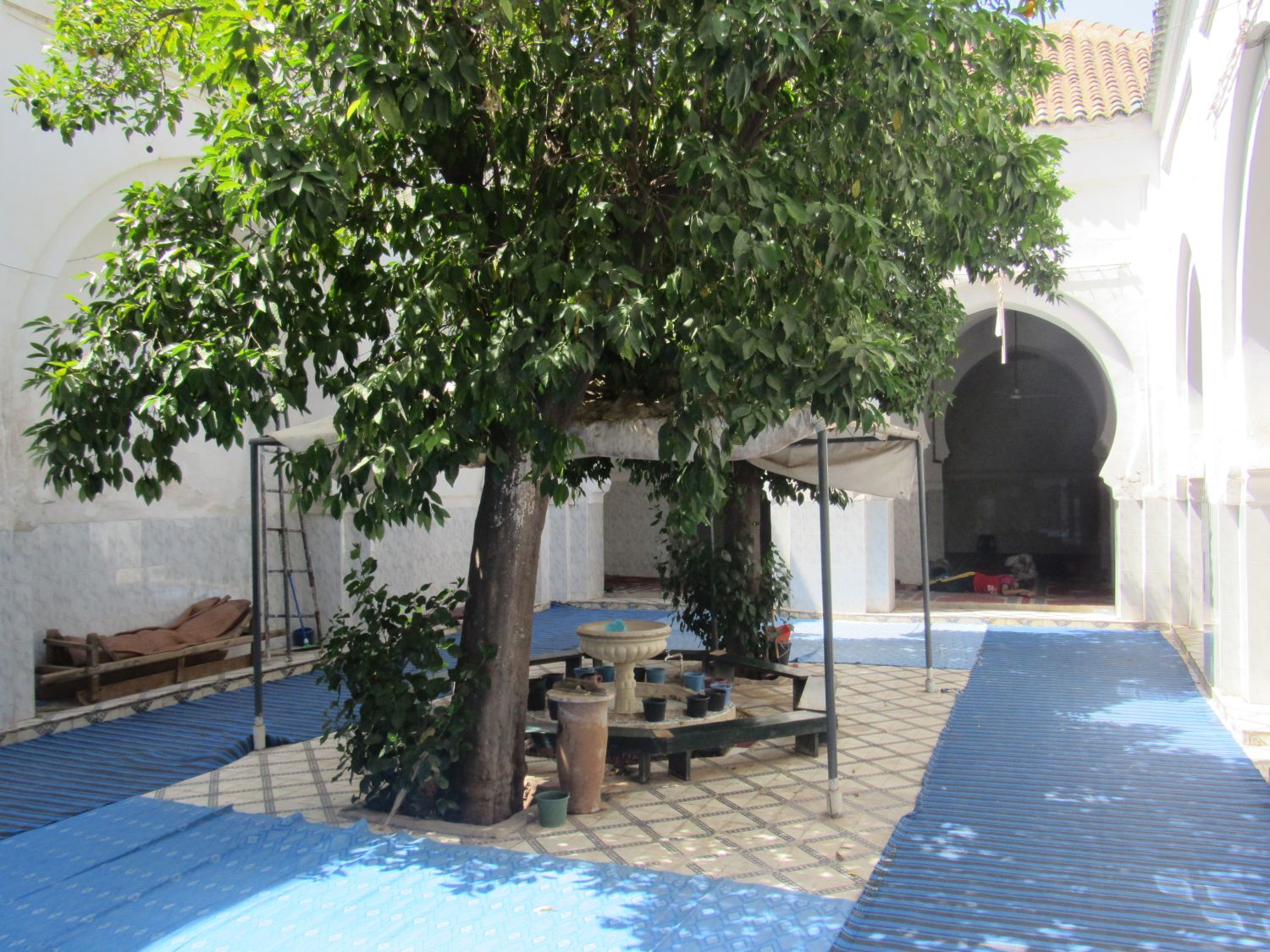 View of the courtyard with a citrus tree and fountain