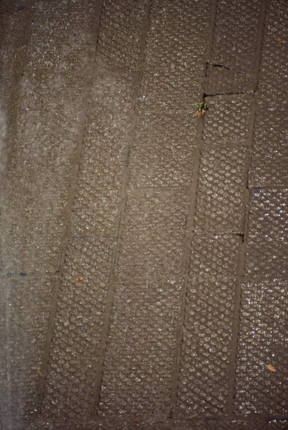 Nishat Bagh - Detail view of carved pattern on a water chute (<span style="font-style: italic;">chadar</span>).