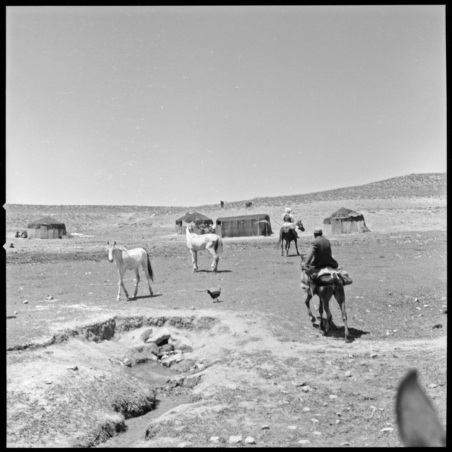 Man on horse approaches a yurt camp in the vicinity of Jam, Afghanistan.