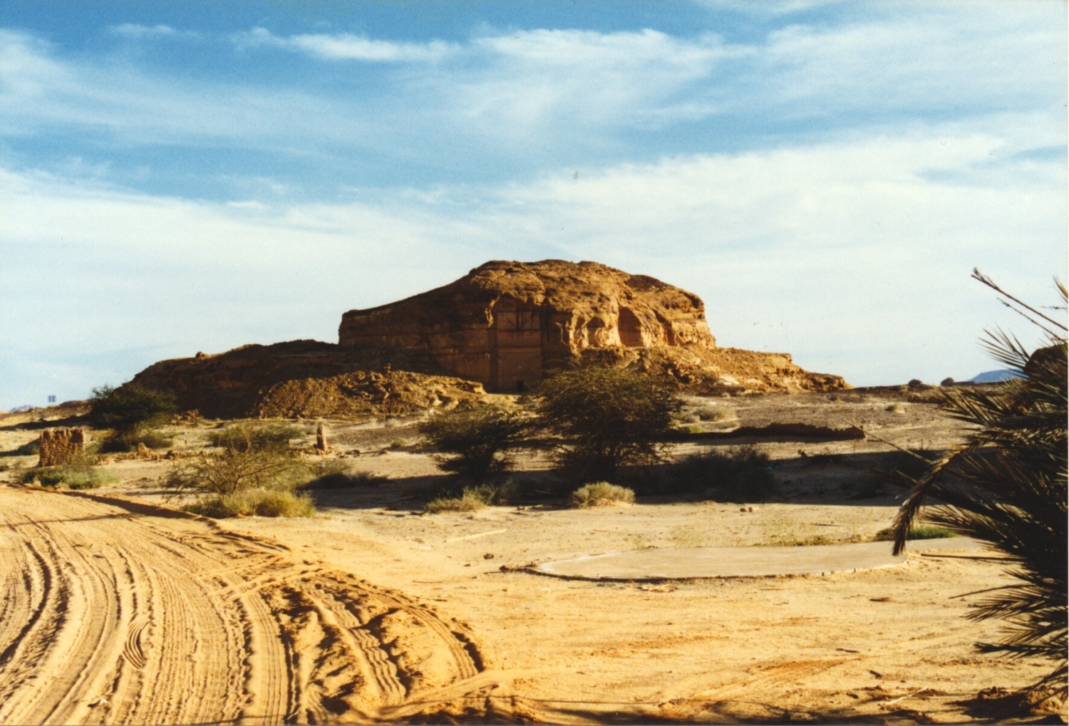 General view of the Qasr Al-Sanie