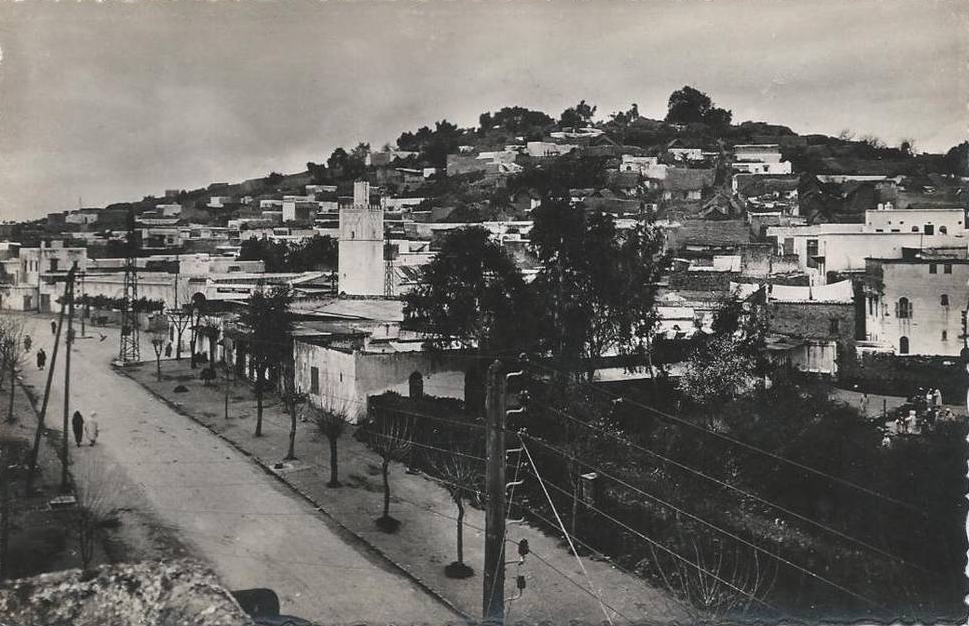  Ouezzane - View of the the city and hillside with hillside and mosque in foreground
