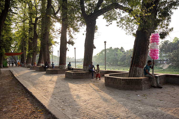 <p>The architects surveyed and documented all the trees in the city in order to propose ecologically significant vegetation and enhance the area's biodiversity.&nbsp;All the existing trees on-site were preserved.&nbsp;</p>