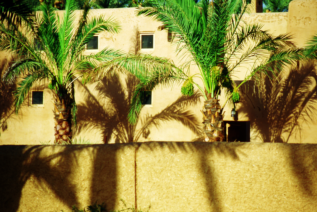 Sun, palms and mud walls create abstract effects