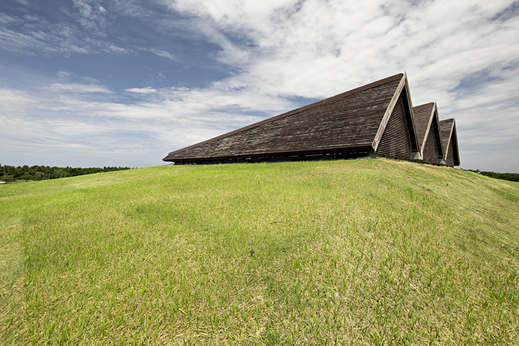 <p>The two-section roof covered by grass.</p>