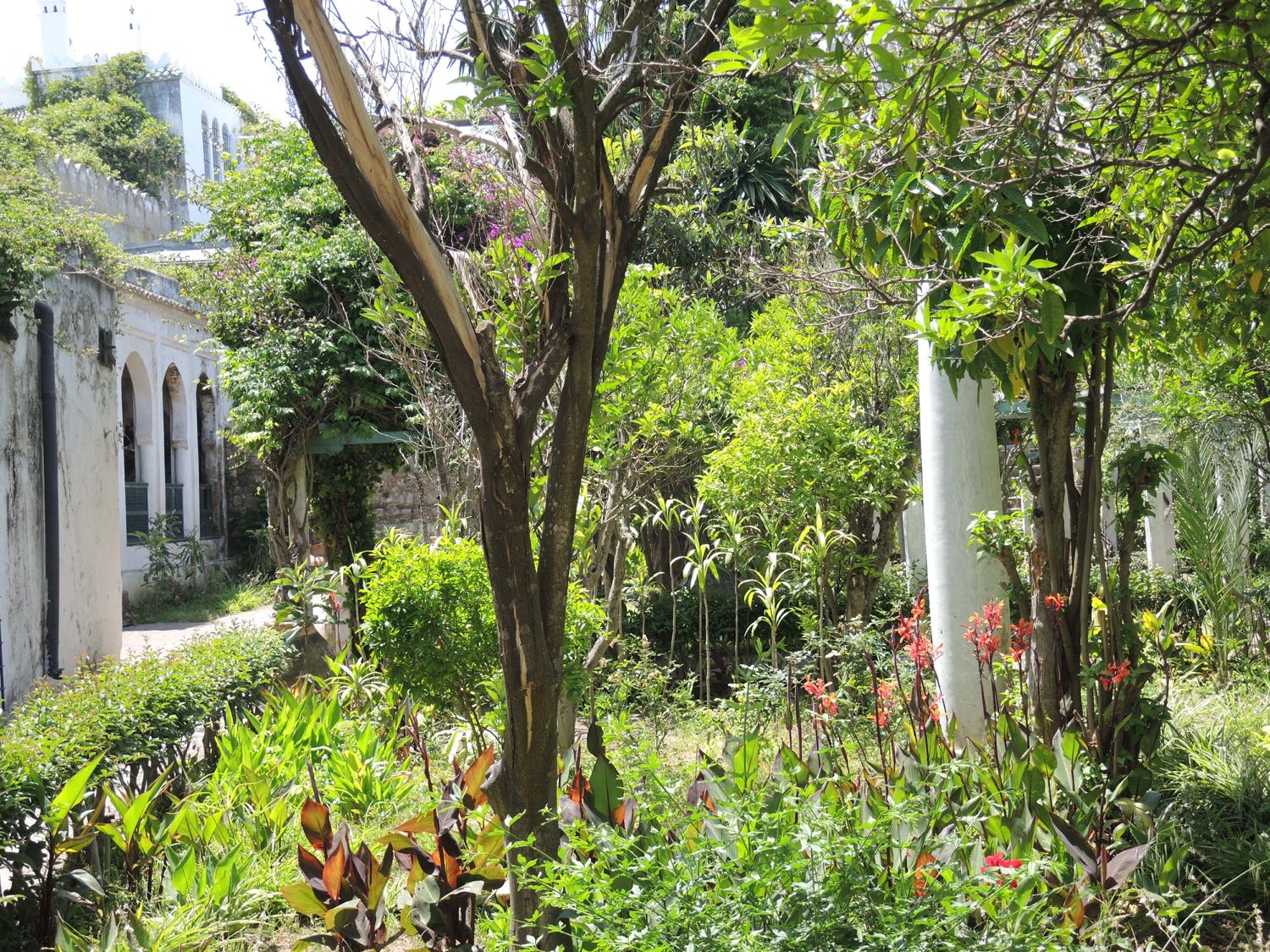 View of the Riad garden