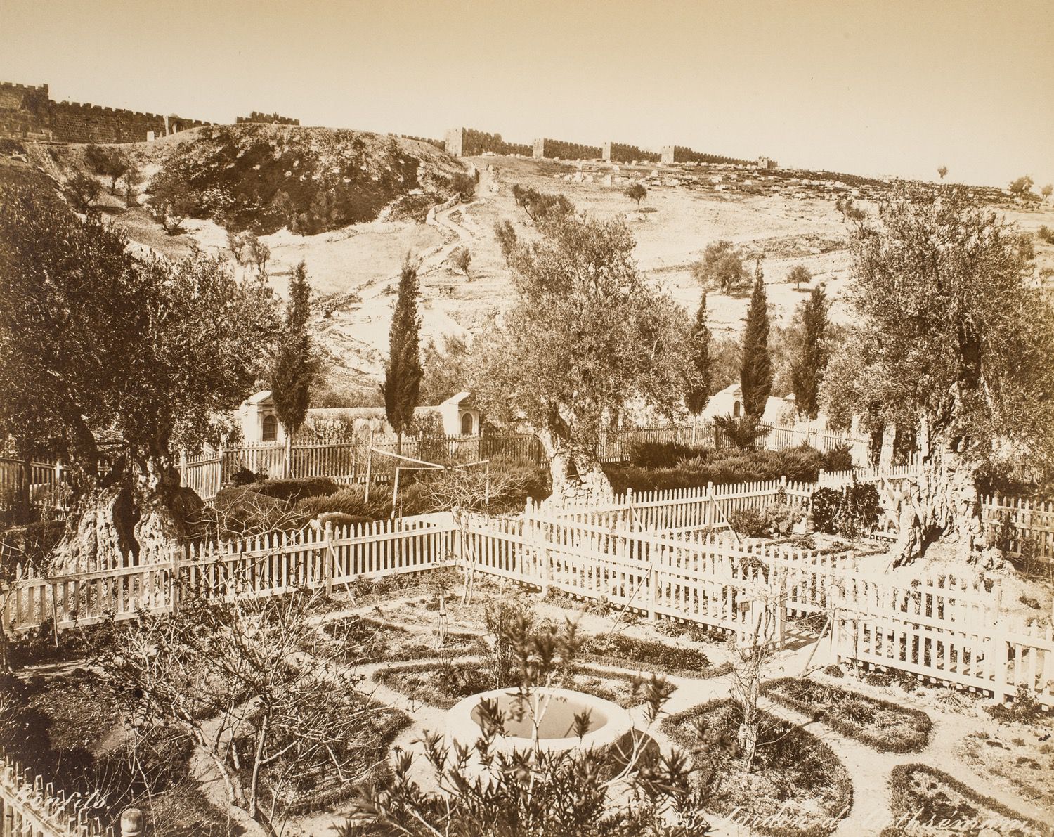 View over the Garden of Gethsemane  to the mount