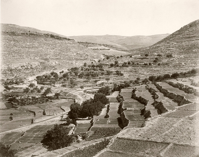Irrigated terraces in 1892  