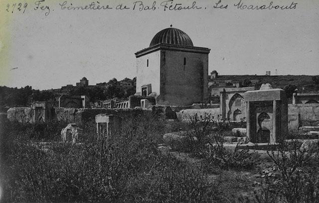 Bab Fetouh Cemetery - General view of marabouts in Bab Fetouh cemetery / "Fez, Cimetière de Bab-Fétouh, Les Marabouts"