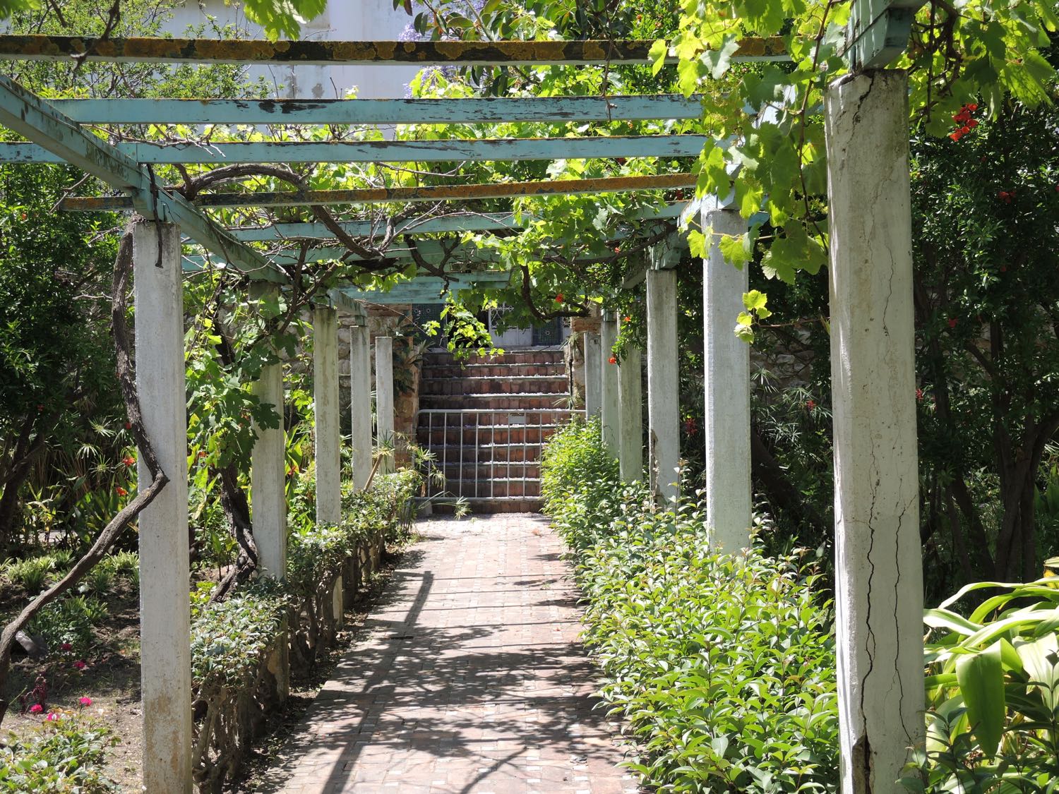  view along the trellis toward an iron gate and wall of a neighboring structure