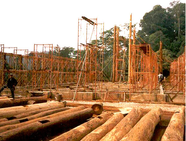 Construction using recycled timber logs as structural column