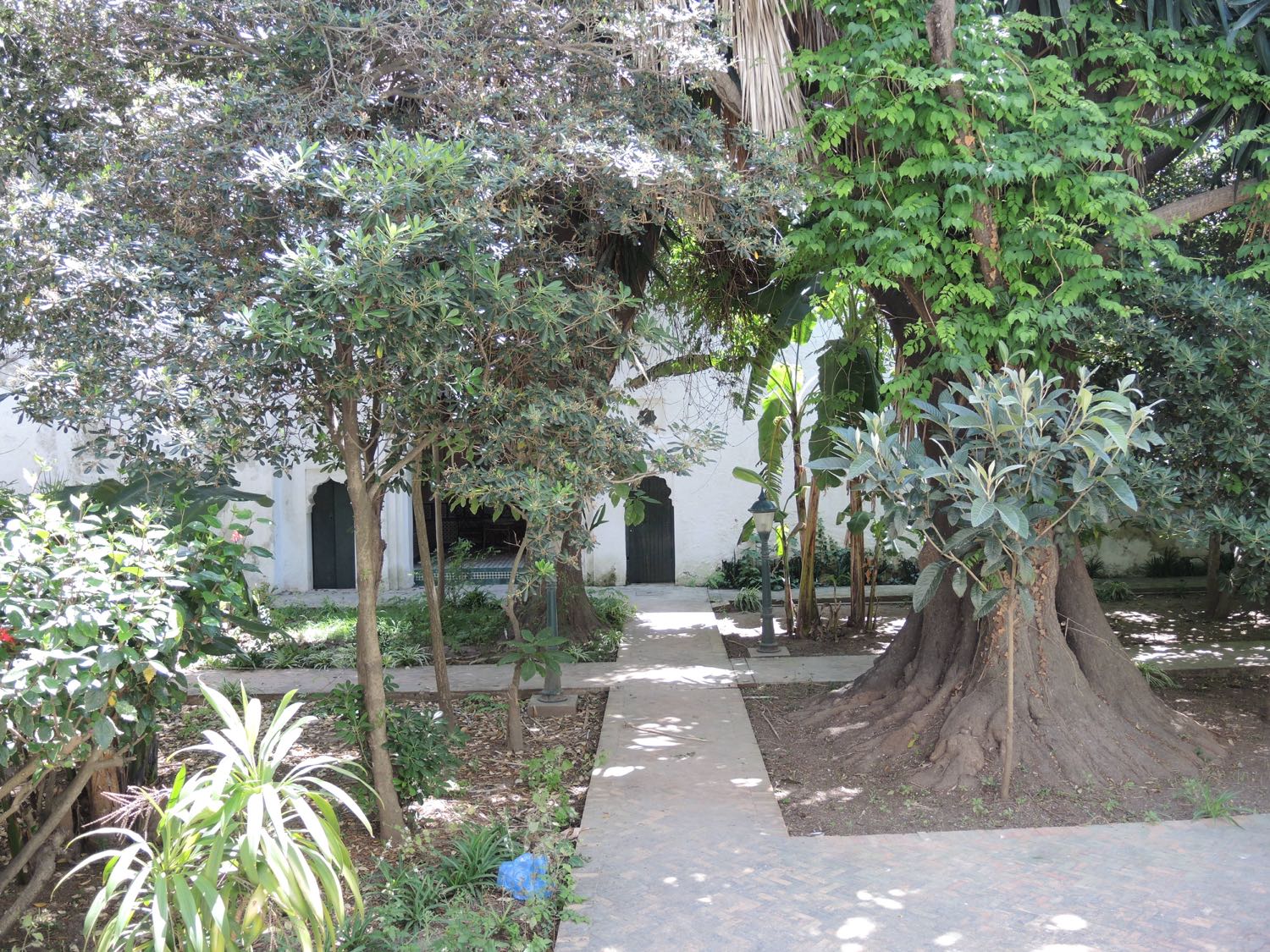  view of pathways and trees in the garden