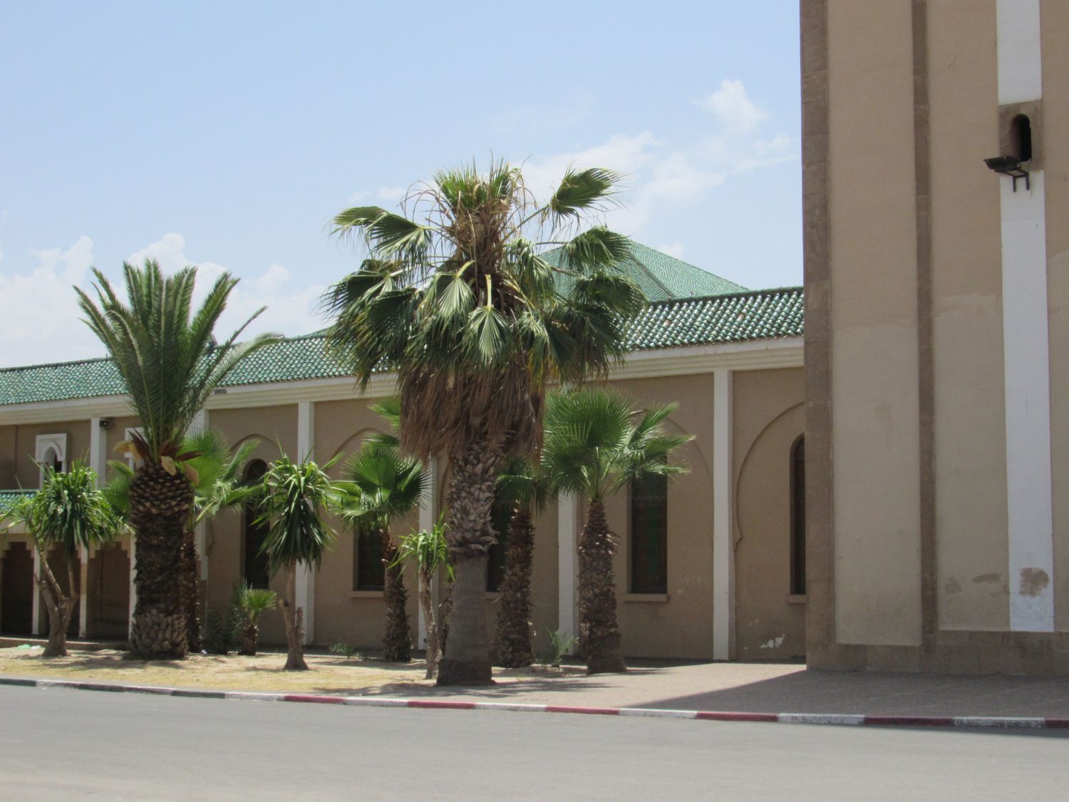 Exterior view of mosque with palm trees in front.