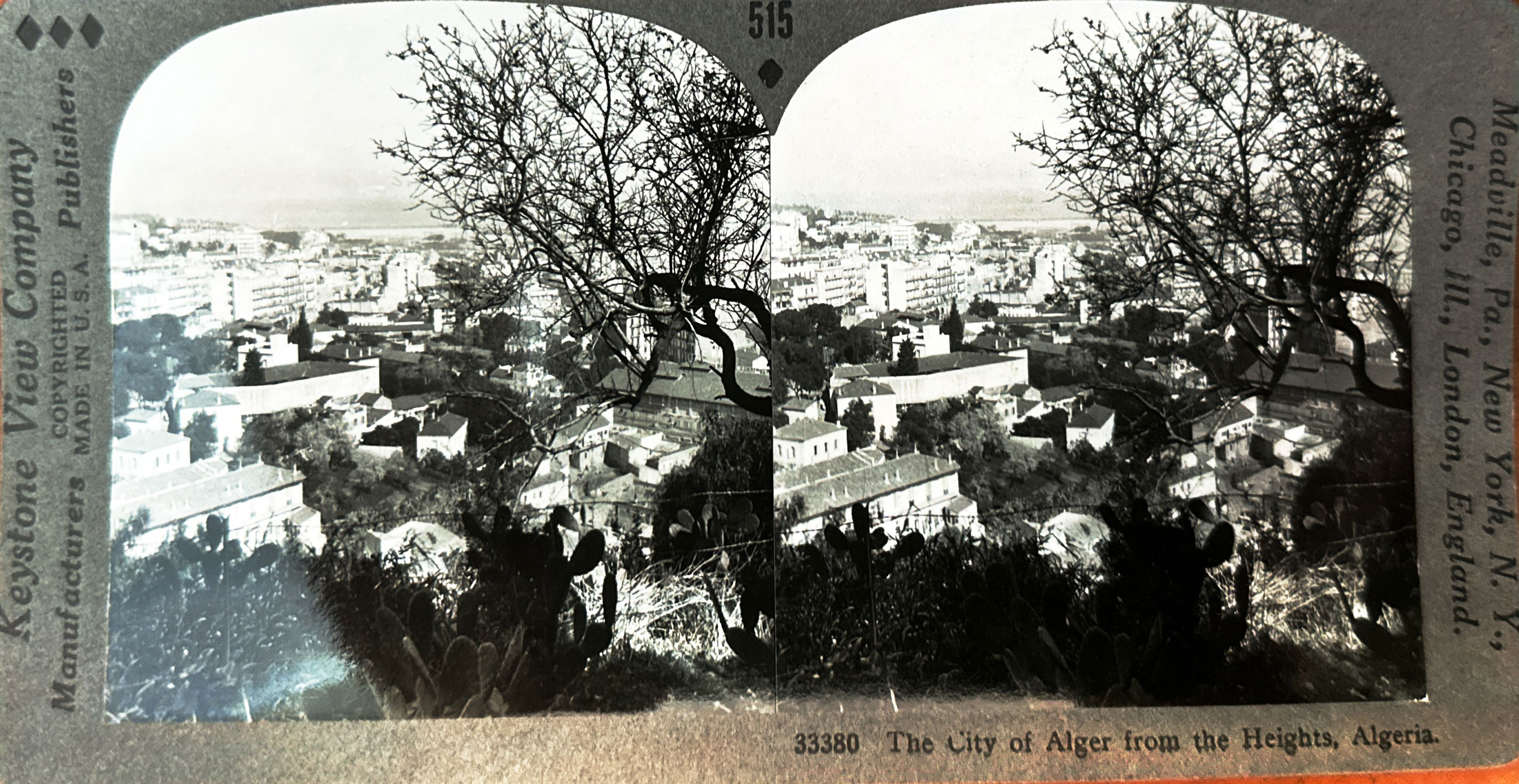 <p>The City of Alger from the Heights, Algeria. (sic)</p>