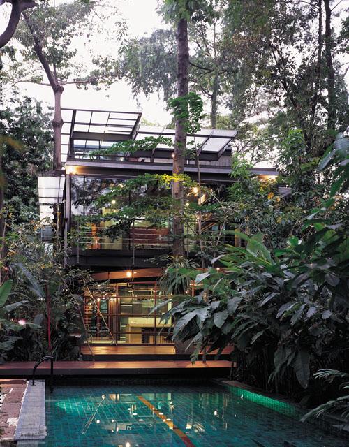 A house located among a mass of trees, which protects a house from pollution