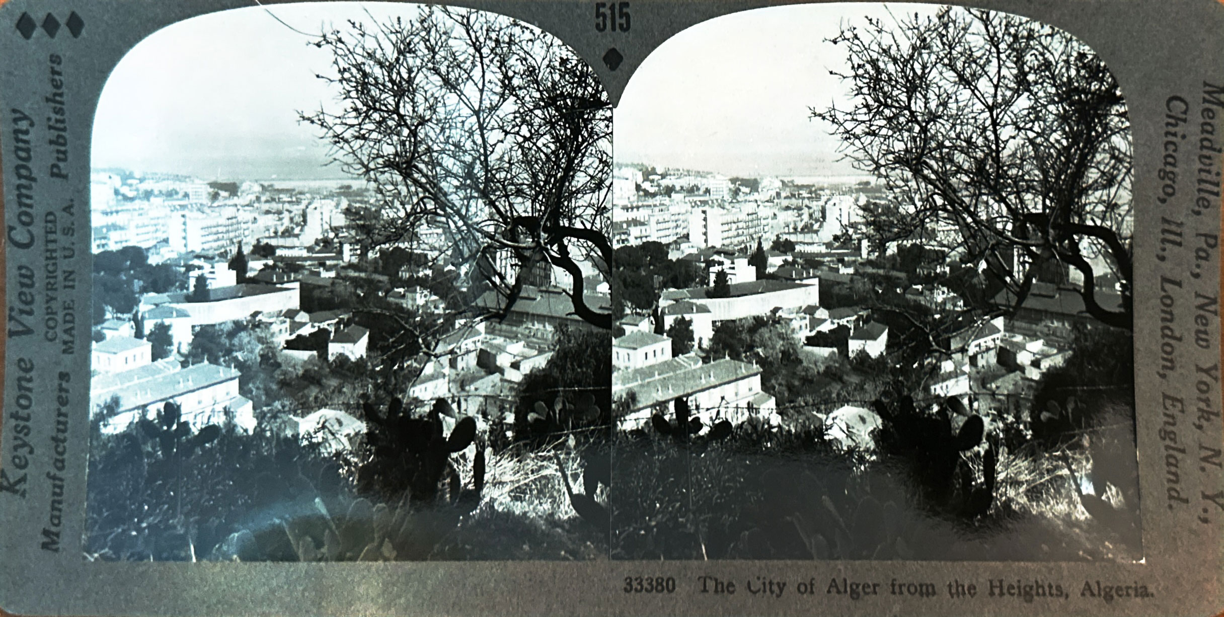 <p>The city of Alger from the Heights. Algeria. (sic)</p>