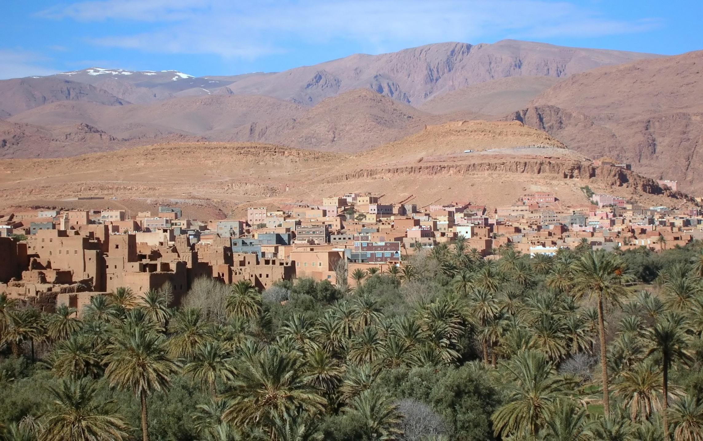 Tinghir - <p>View of the town across the trees of the oasis</p>